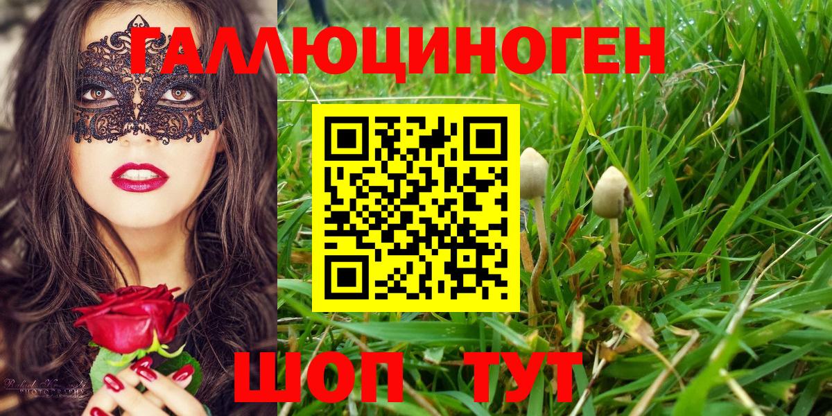 Псилоцибиновые грибы ЛСД Скопин